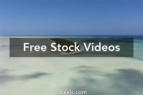 Indian Blue Videos, Download The BEST Free 4k Stock Video